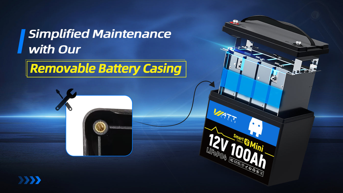 12V 100AH mini lifepo4 battery