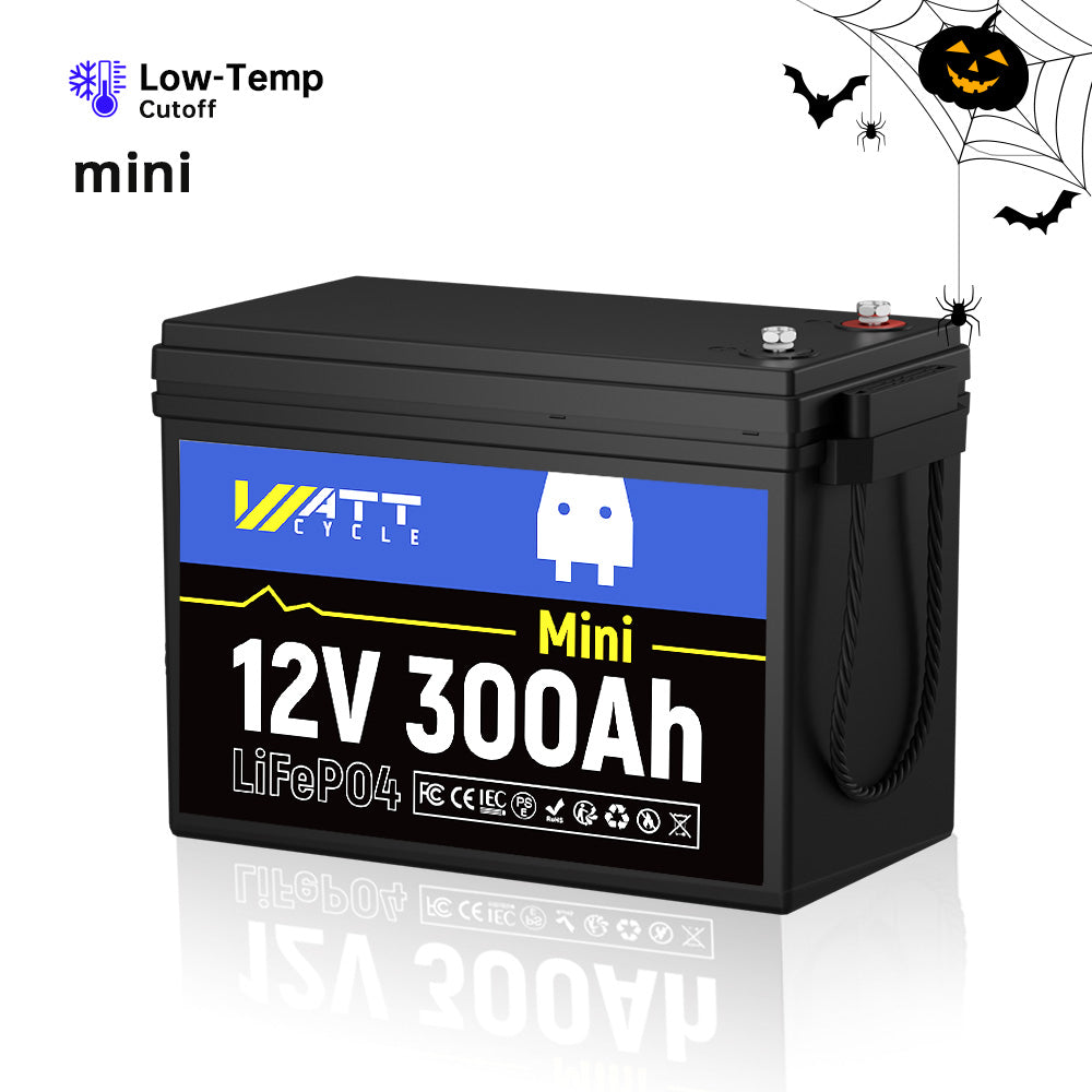 【Like New】12V / 24V / 48V LiFePO4 Battery