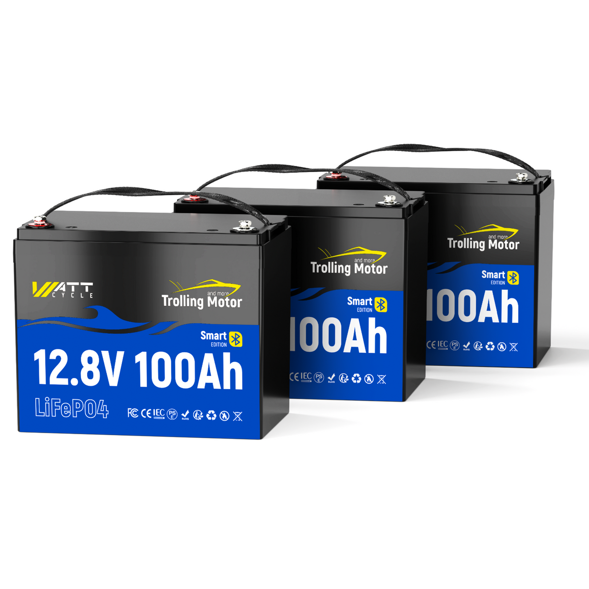 ⚡️Holiday Flash Sale⚡️WattCycle 12V 100Ah TM Bluetooth LiFePO4 Battery with Smart Low-Temp Protection & 120A BMS (Group 24)