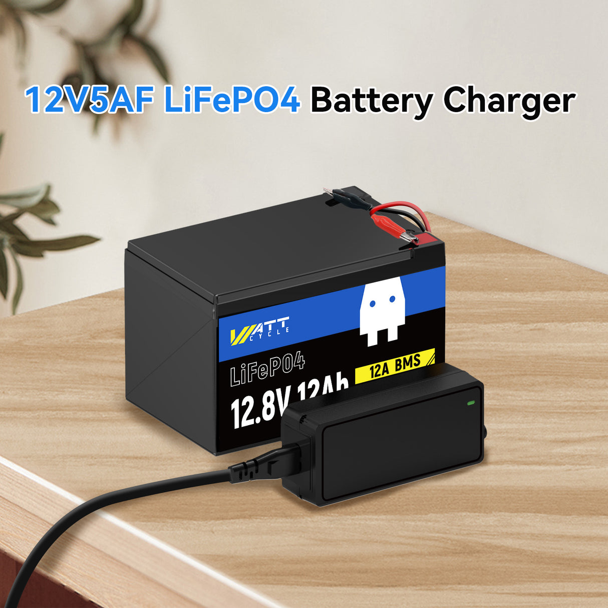 14.6V 5A Plastic Shell LiFePO4 Battery Charger