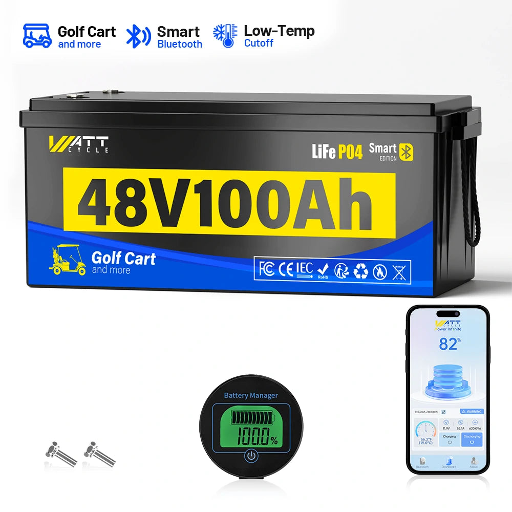 48V 100Ah LiFePO4 Bluetooth Golf Cart Battery