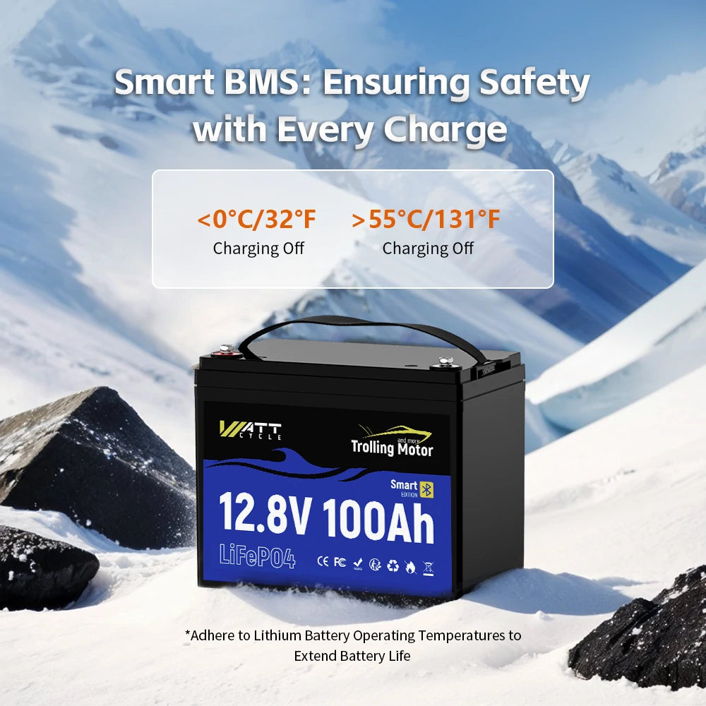 12V 100Ah LiFePO4 Battery for Trolling Motors Kit