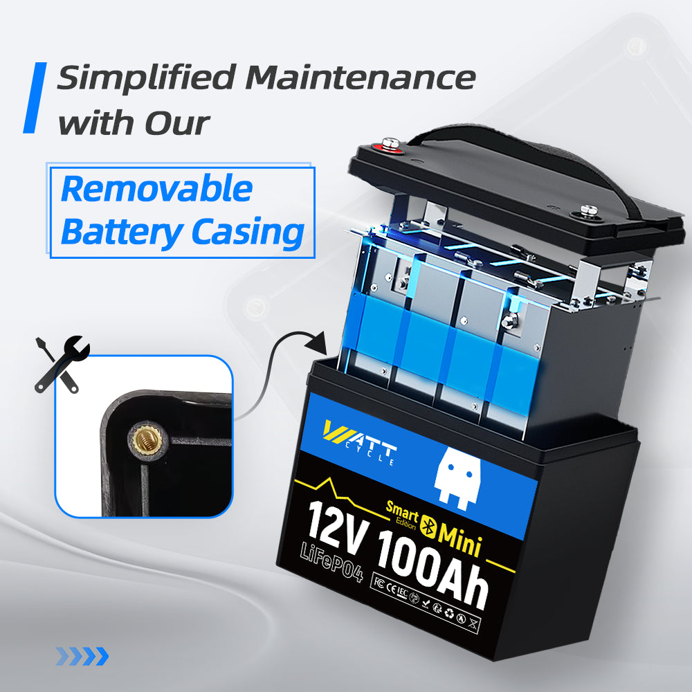 12V 100Ah Mini LiFePO4 Battery with Bluetooth Kit