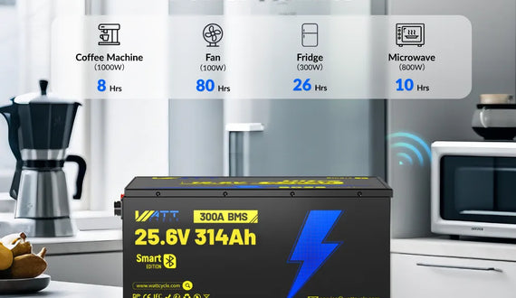 A Cohesive Story of WattCycle 25.6V 314Ah Ultra Lithium Battery?
