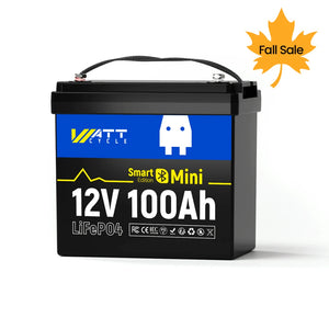 12V 100Ah MINI BT📳