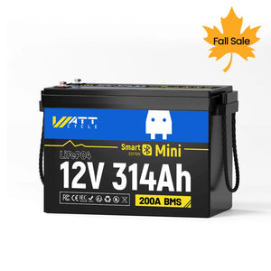12V 314Ah MINI BT📳