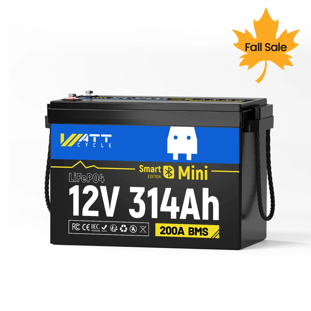 【🍂Autumn Deals】12V 314Ah LiFePO4 Battery with Bluetooth