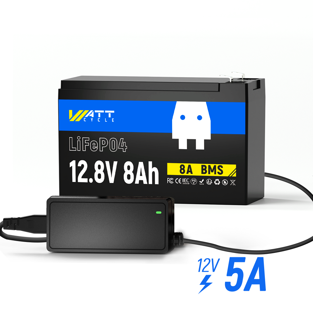 12V 8Ah LiFePO4 Battery Kit