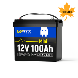 12V 100Ah MINI