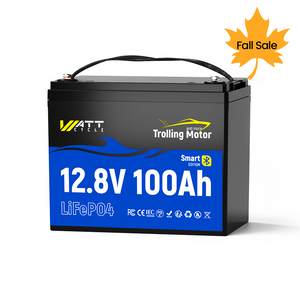 12V 100Ah TM BT📳🎣