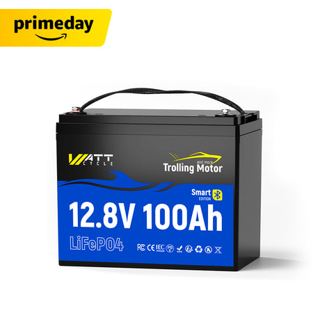 12V 100AH TM BT.jpg__PID:ebc2a056-5f6f-45b2-9872-07100b4aaa05