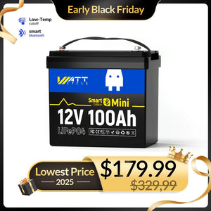 12V 100Ah Mini Smart