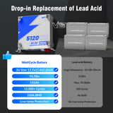 【Automatic $50 OFF/PACK】48V (51.2V) 100Ah 3U Server Rack LiFePO4 Battery