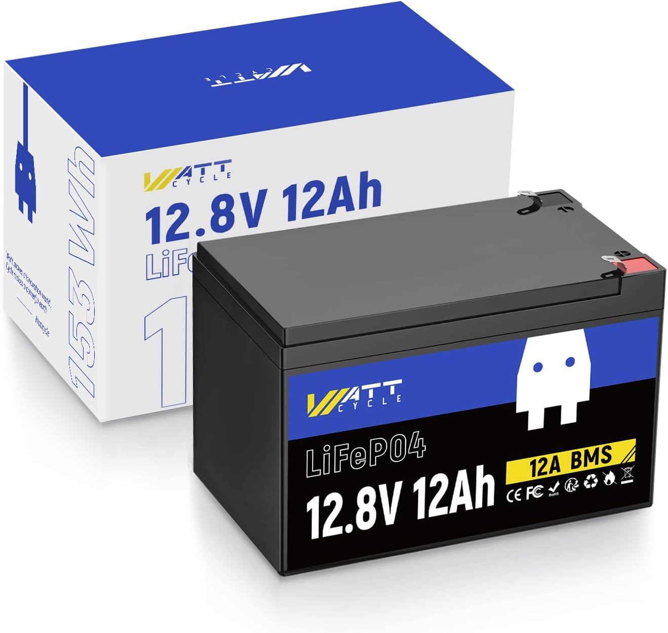 【🏖️Summer Day Offer】12V 8Ah LiFePO4 Battery