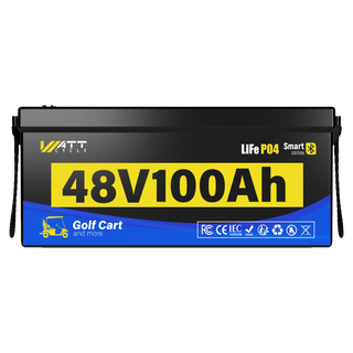 [Free Monitor] 48V 100Ah Golf Cart Bluetooth LiFePO₄ Lithium Battey - 200A BMS