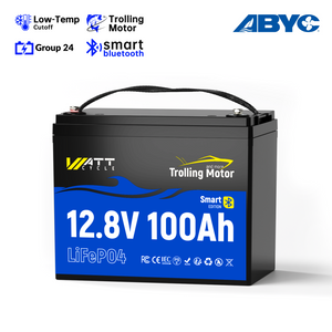 Like New 12V 100AH TM BT 