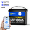 12V/48V Smart Battery