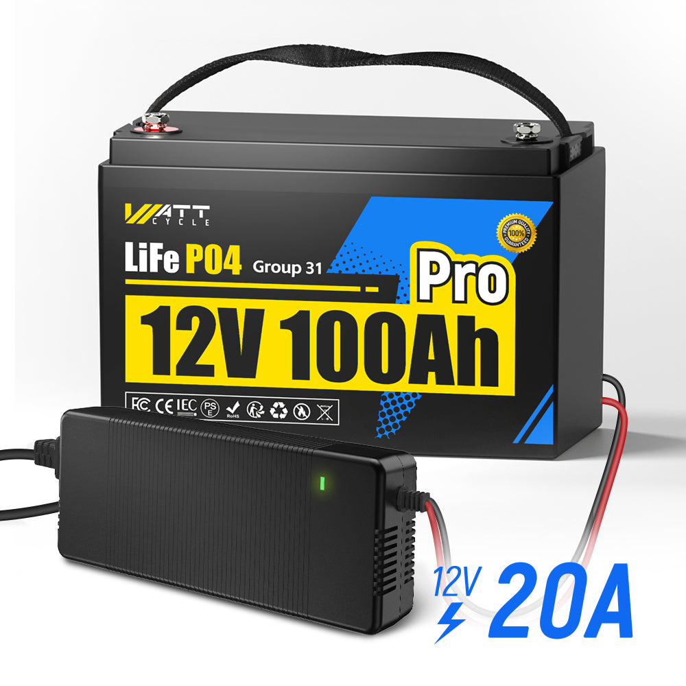 12V 100Ah Pro Group 31 LiFePO4 Battery Kit