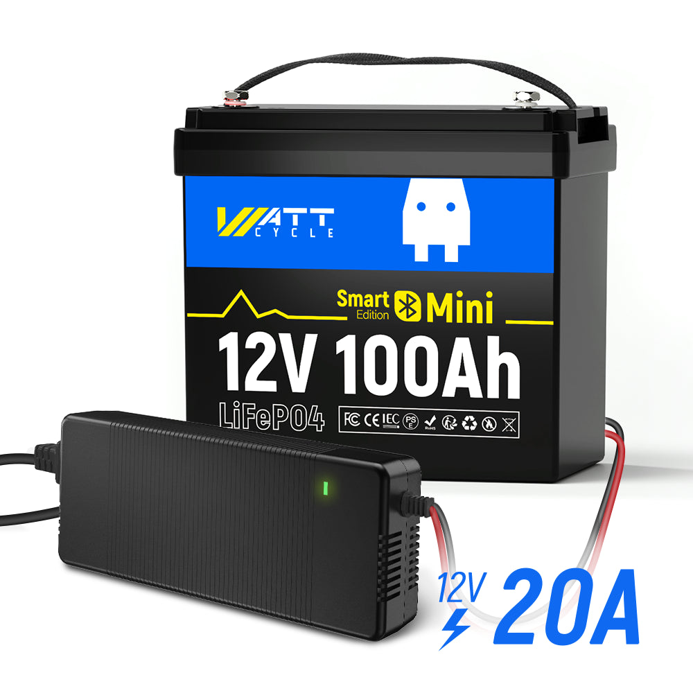 12V 100Ah Mini LiFePO4 Battery with Bluetooth Kit