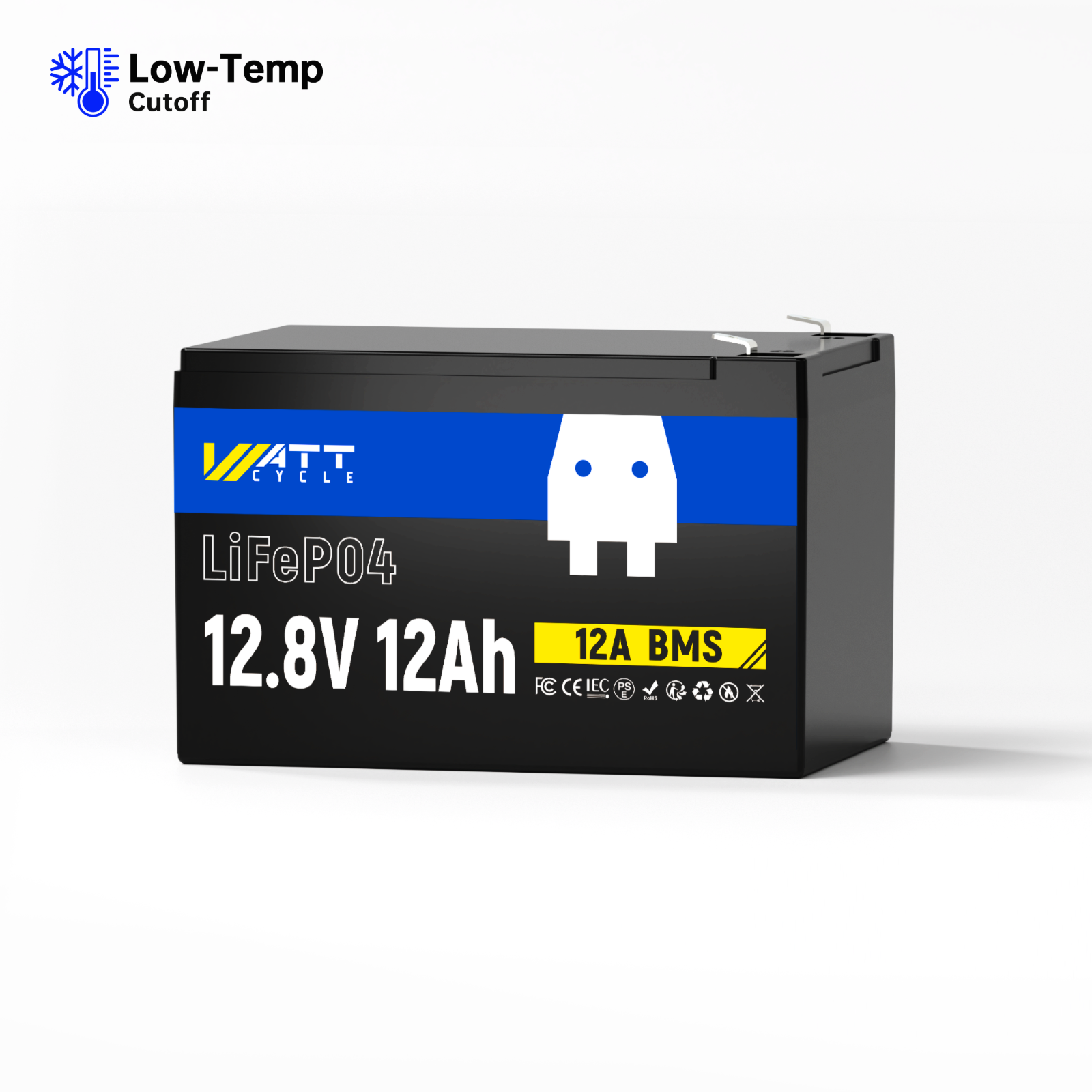 【🏖️Summer Day Offer】12V 8Ah LiFePO4 Battery
