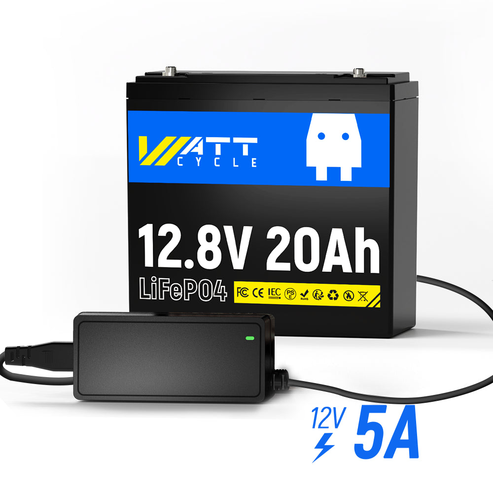 12V 20Ah LiFePO4 Battery Kit