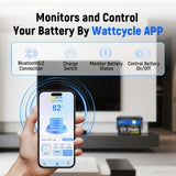 【Automatic $40 OFF/ PACK】WattCycle 12V 314Ah LiFePO4 Battery with Bluetooth
