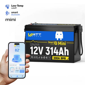 12V 314Ah MINI BT📳