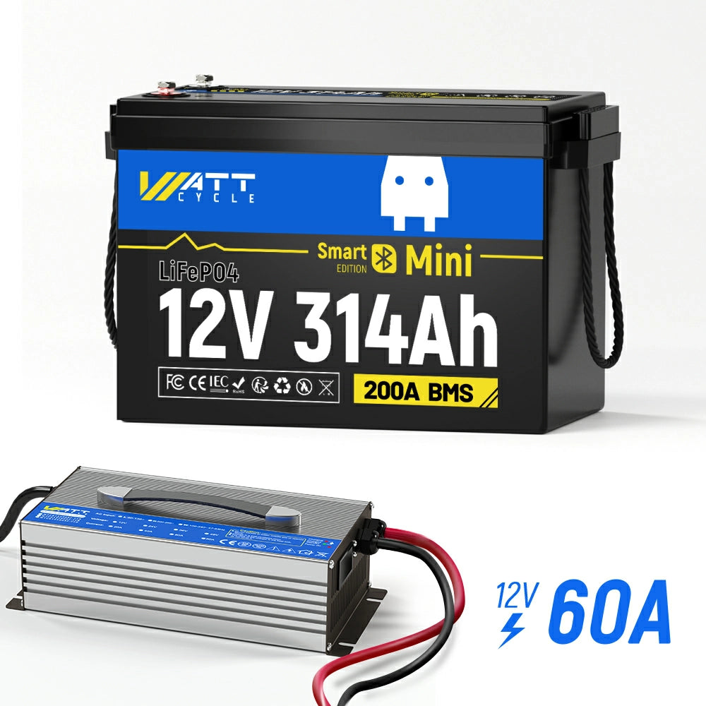【🏖️Summer Day Offer】12V 280Ah MINI LiFePO4 Battery with Bluetooth