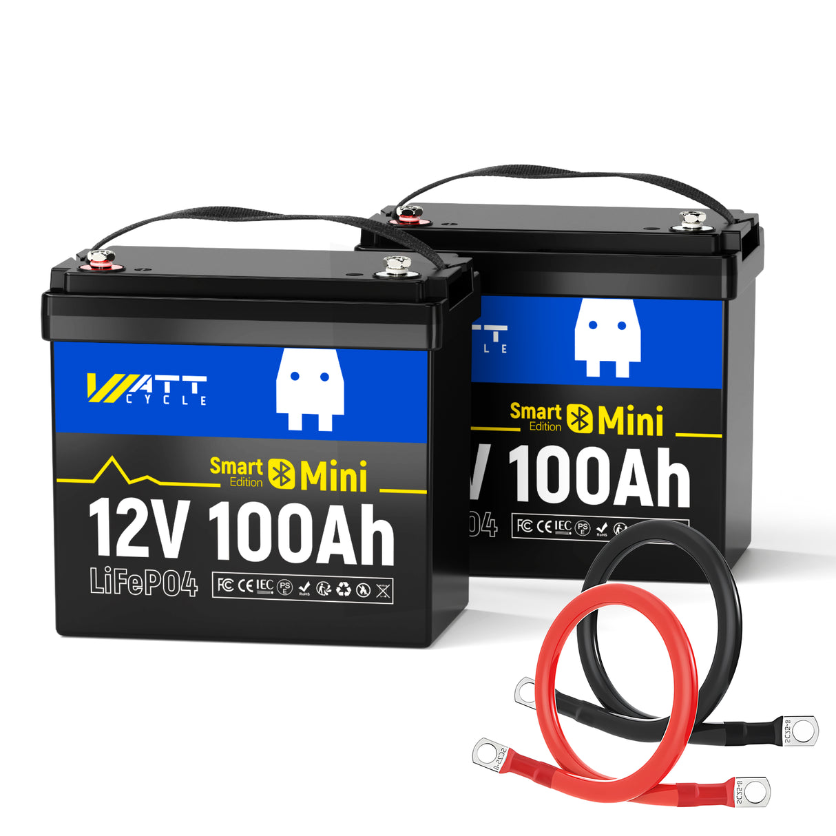 【Free Cable】24V 100Ah Mini Bluetooth LiFePO4 Battery Set