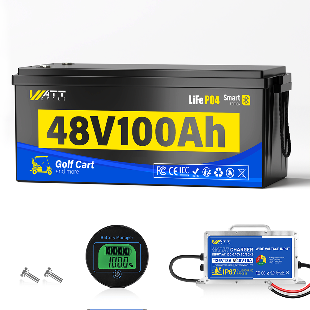 【⛳New Launch】48V 100Ah Golf Cart Battery with Bluetooth
