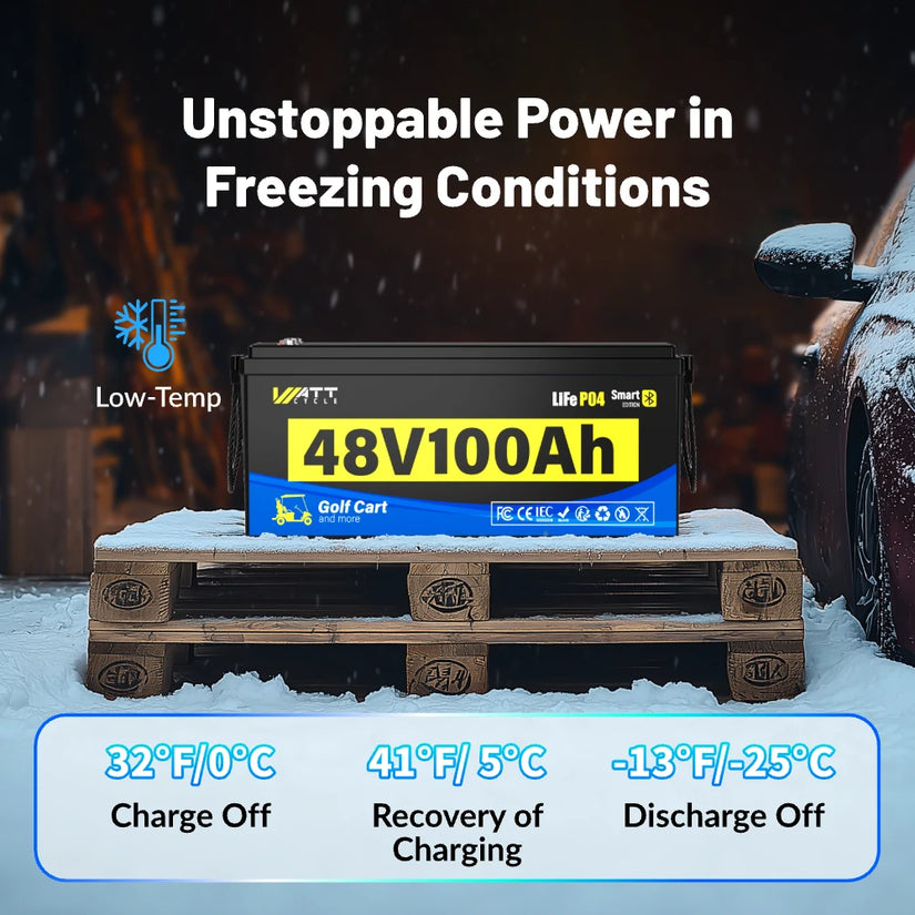 [Free Monitor] 48V 100Ah Golf Cart Bluetooth LiFePO₄ Lithium Battey - 200A BMS
