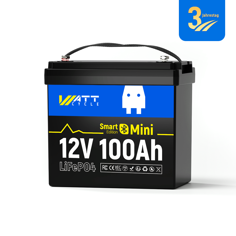 【Sold out】12V 100Ah Mini LiFePO4 Battery with Bluetooth