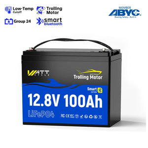 12V 100Ah TM BT📳🎣