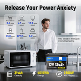 【10 Days Pre Sale】12V 314Ah Mini LiFePO4 Battery