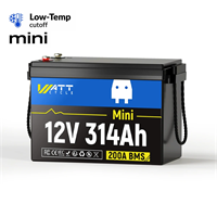 Like New -  12V 314Ah Mini LiFePO4 Battery with Bluetooth