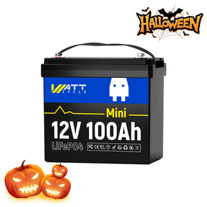 12V 100Ah Mini