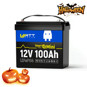 12V 100Ah MINI BT📳