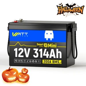 12V 314Ah MINI BT📳